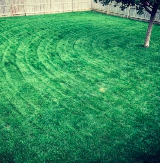 Screenshot 2026-01-06 232030