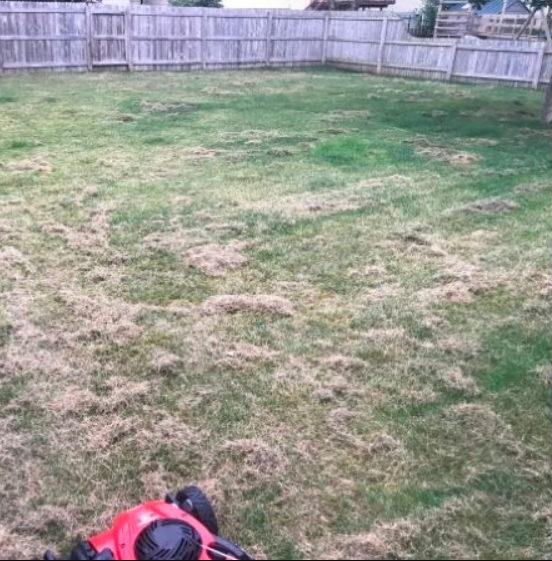 Screenshot 2026-01-06 232134