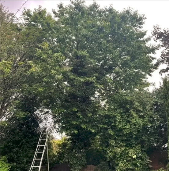 Screenshot 2026-01-06 234019