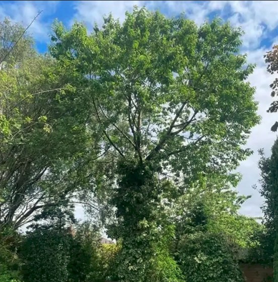 Screenshot 2026-01-06 234043